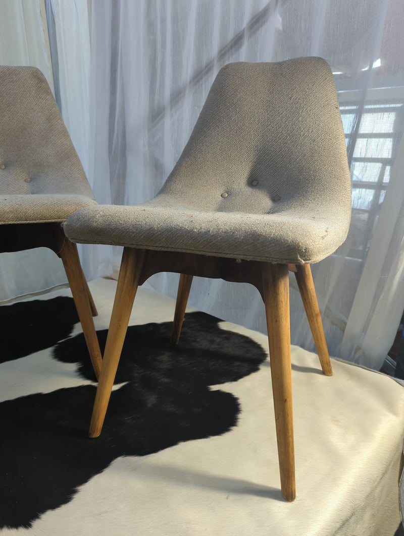 Grant featherston online dining chair