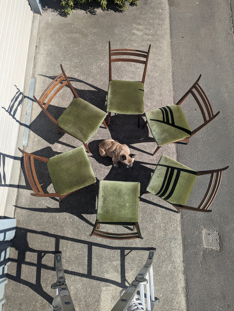 Authentic Zoureff dining set extendable table 8 dining chairs blackbean timber rare