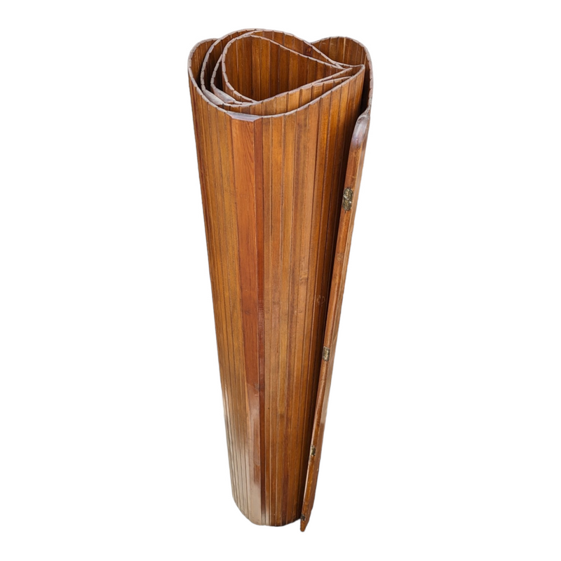 Baumann Fils & Cie Paravent Paris Mid-Century Modern Room Divider Screen made in Paris