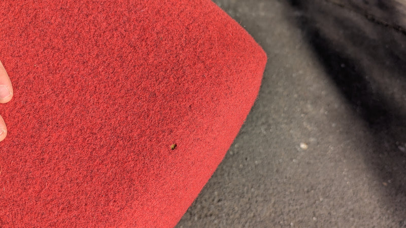 Authentic Featherston Uniroyal Numero 1V IV highback armchair red/pink matching ottoman Kvadrat wool fabric