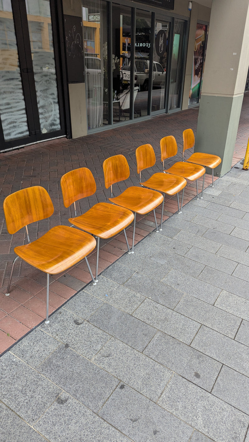 Restoration of original Eames Moulded Plywood DCM Dining Chairs with Metal Base