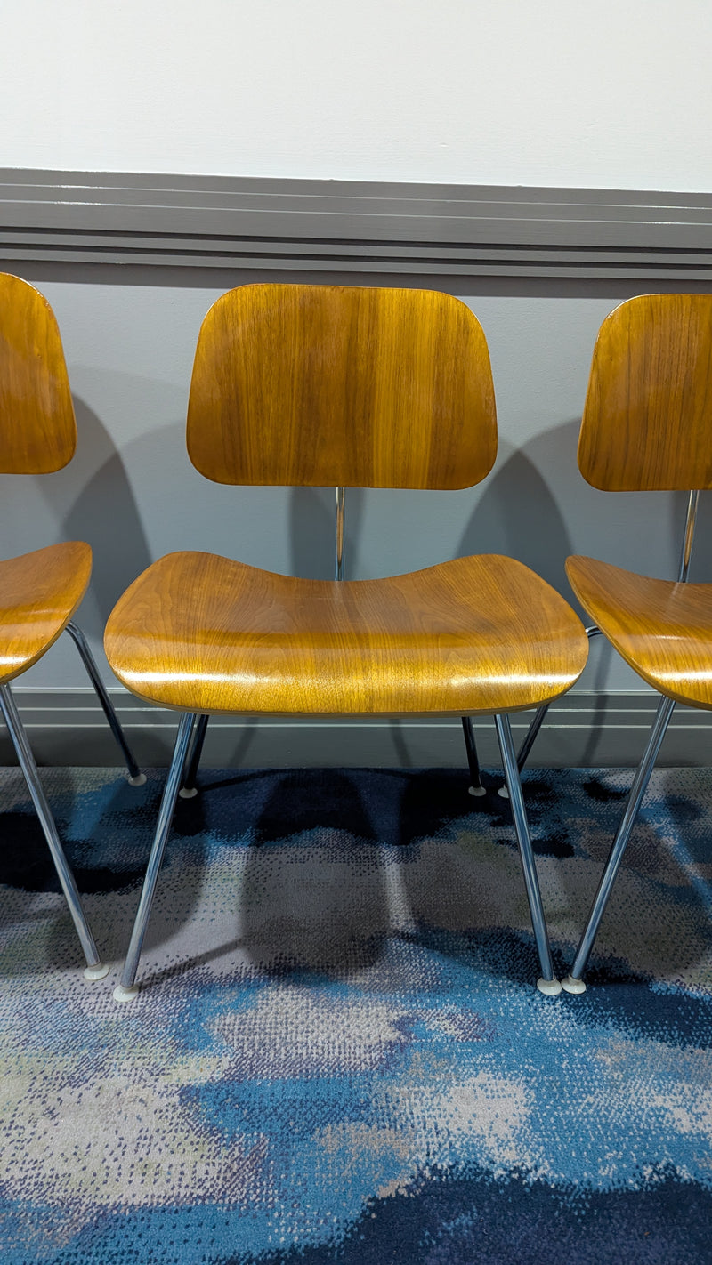 Restoration of original Eames Moulded Plywood DCM Dining Chairs with Metal Base