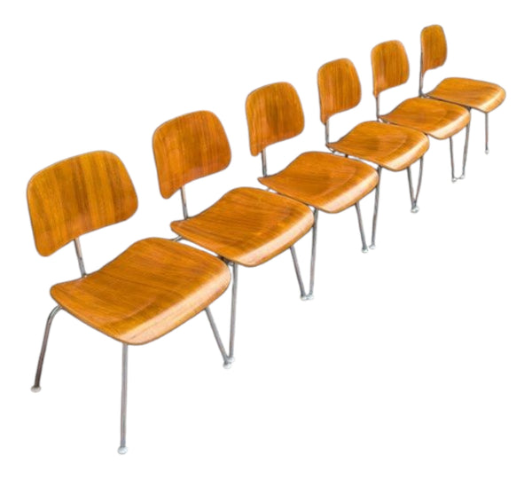 Restoration of original Eames Moulded Plywood DCM Dining Chairs with Metal Base