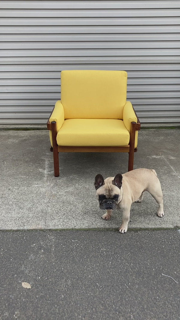 Pre -order Danish Deluxe armchair single restored yellow wool fabric Warwick